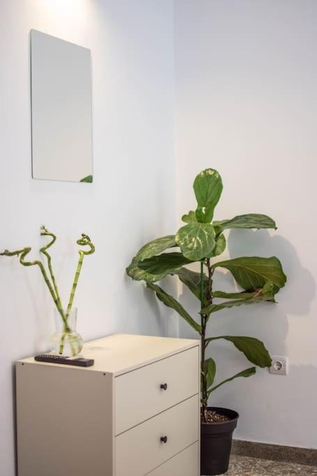 Botanical Apartment Athena Bagian luar foto