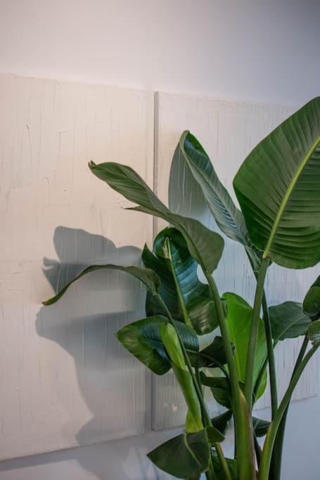 Botanical Apartment Athena Bagian luar foto